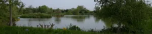 Brick Lake