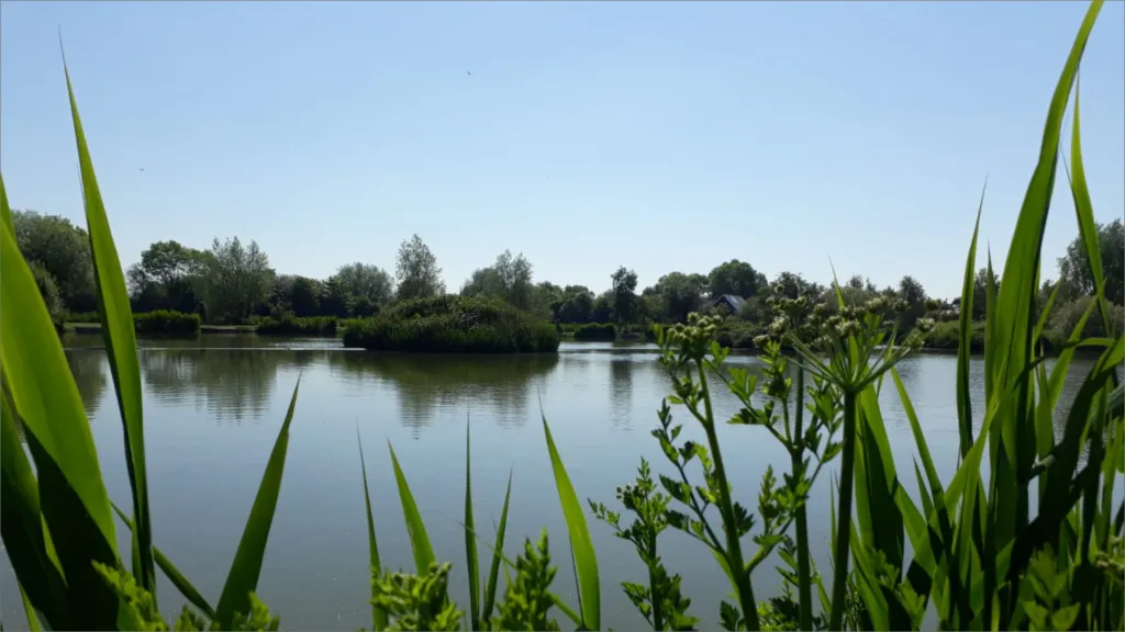 Brick Lake