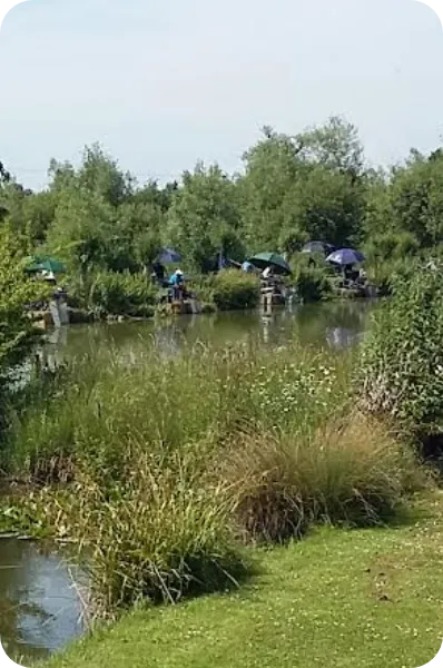 The Sedges Fishery