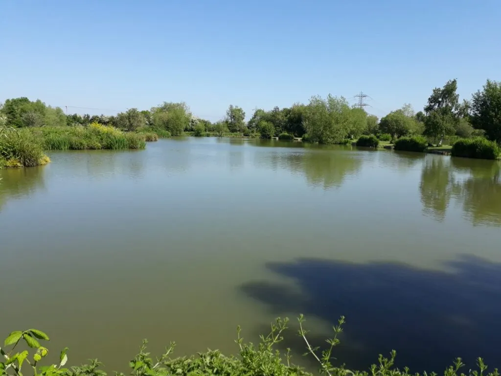 Tile Lake