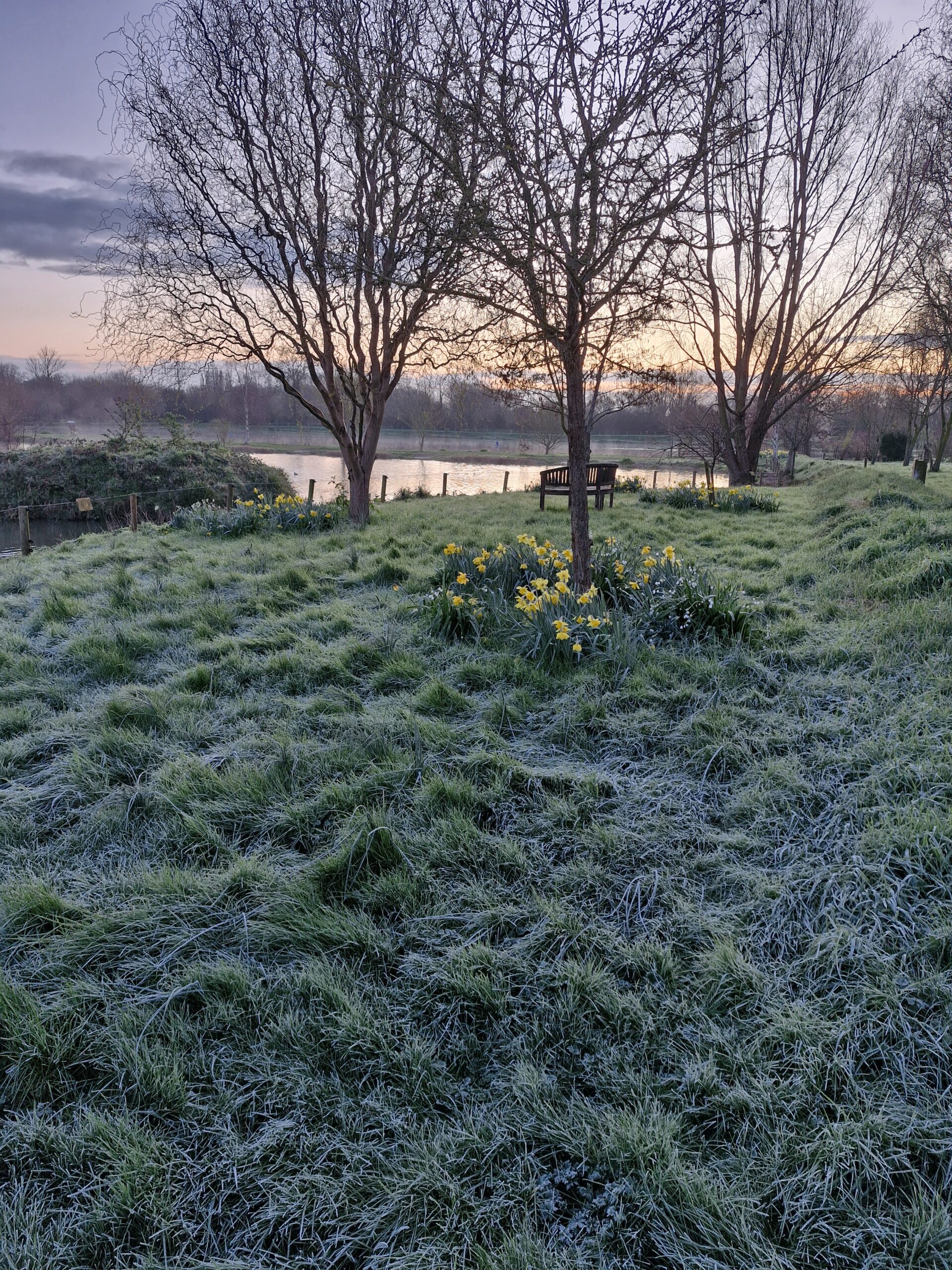 Ron Stark silvers only league - THE SEDGES FISHERY