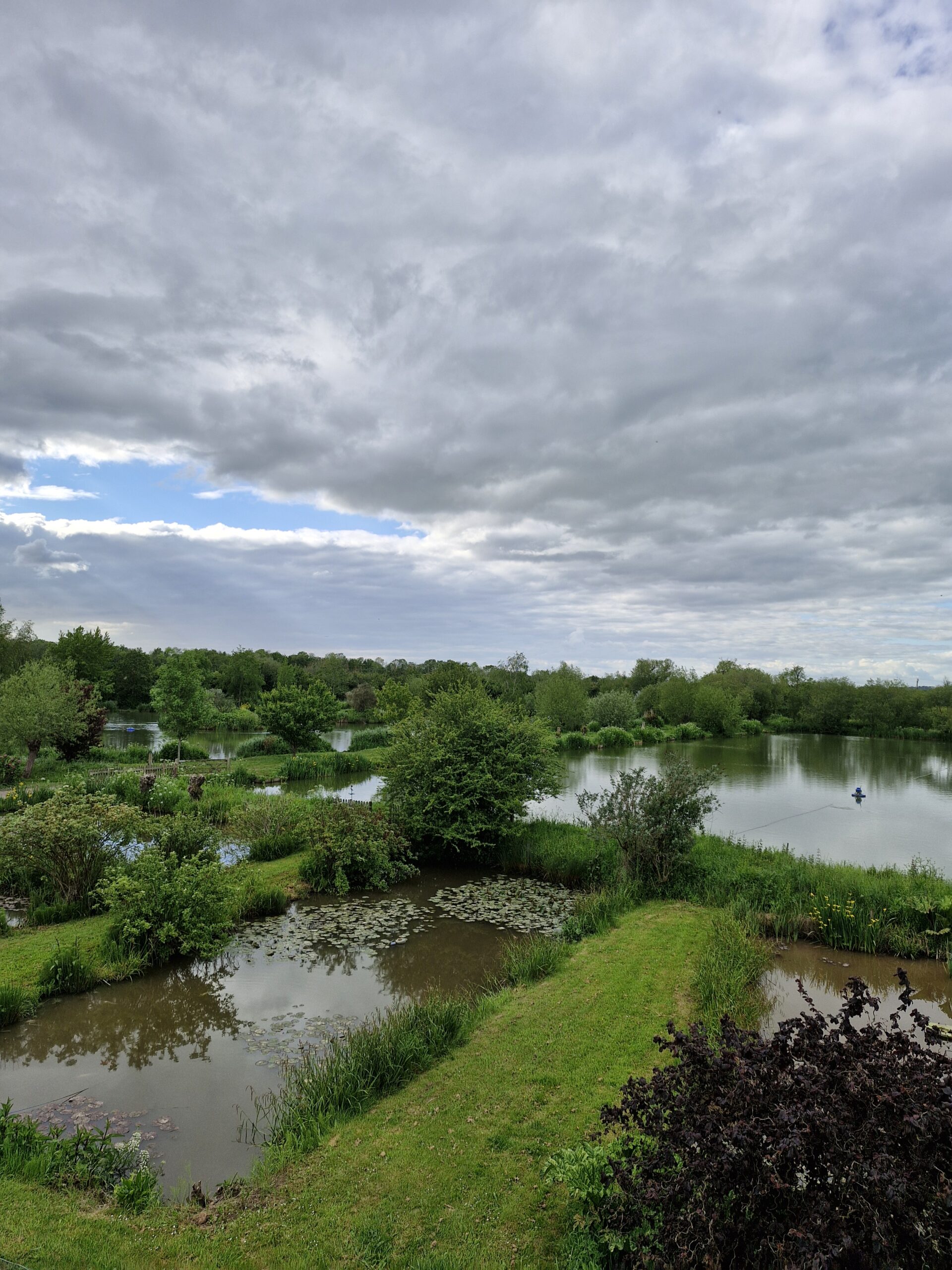 Wednesday open match - THE SEDGES FISHERY