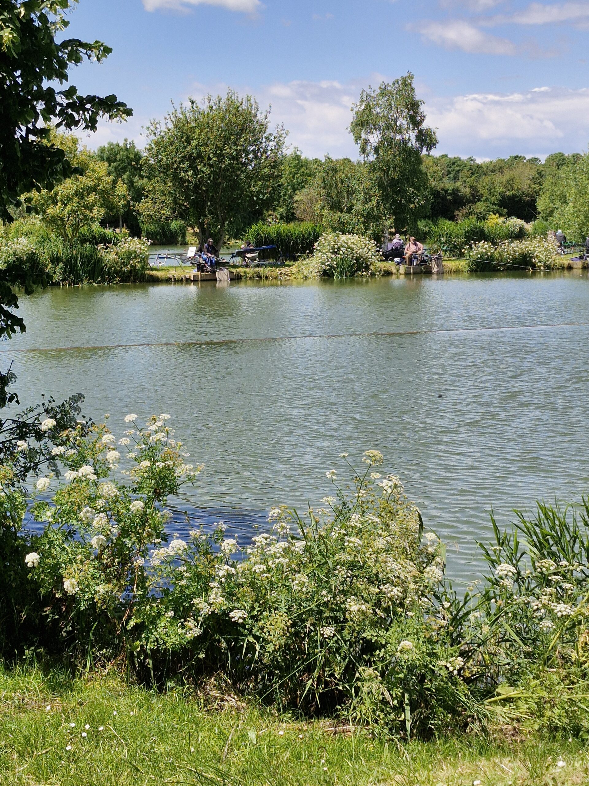 Over 50's silvers only match - THE SEDGES FISHERY