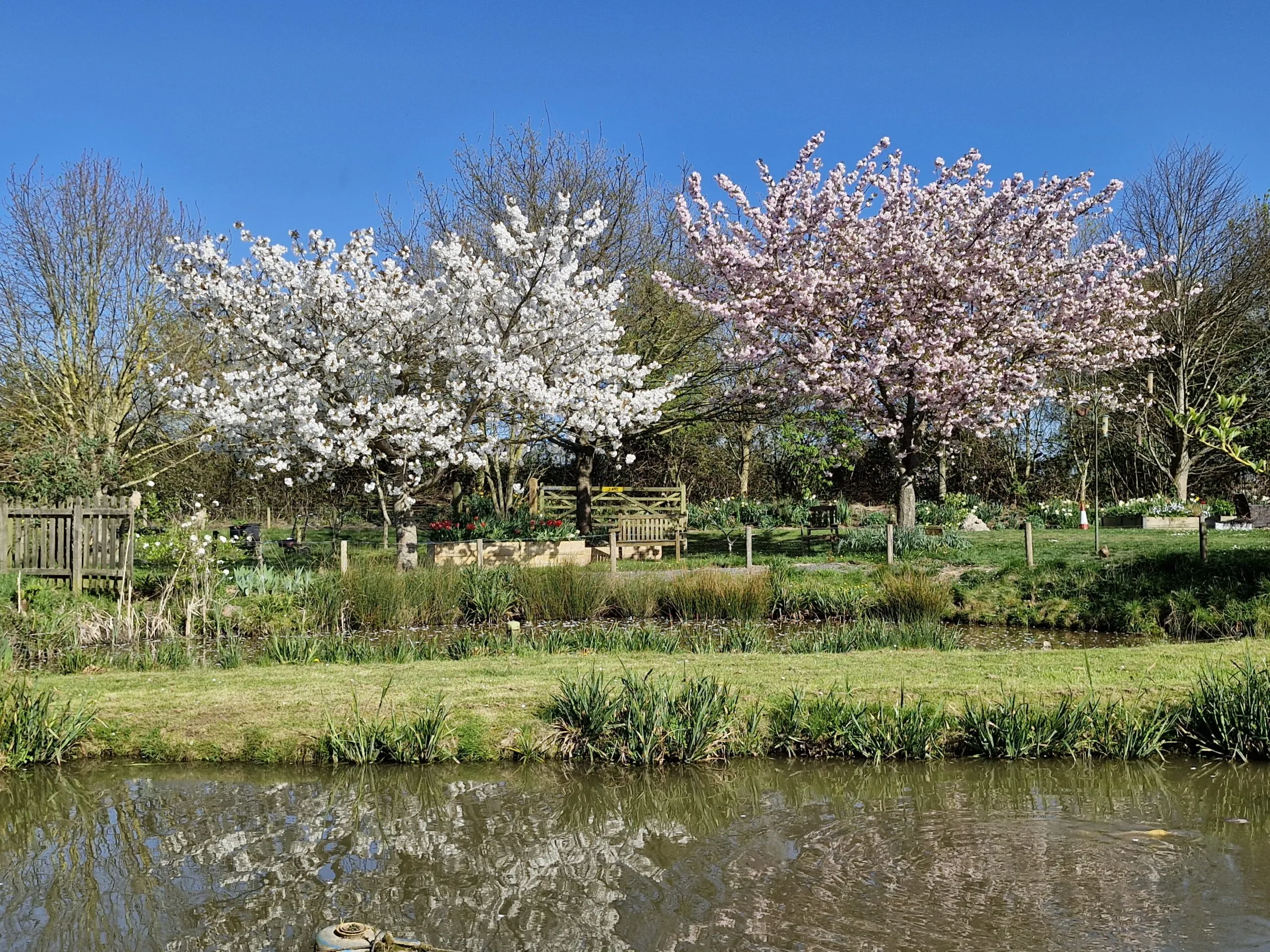 The Sedges Fishery