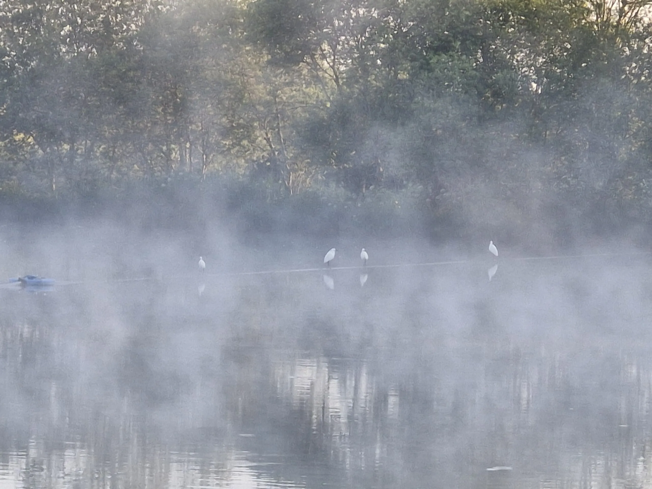 The Sedges Fishery