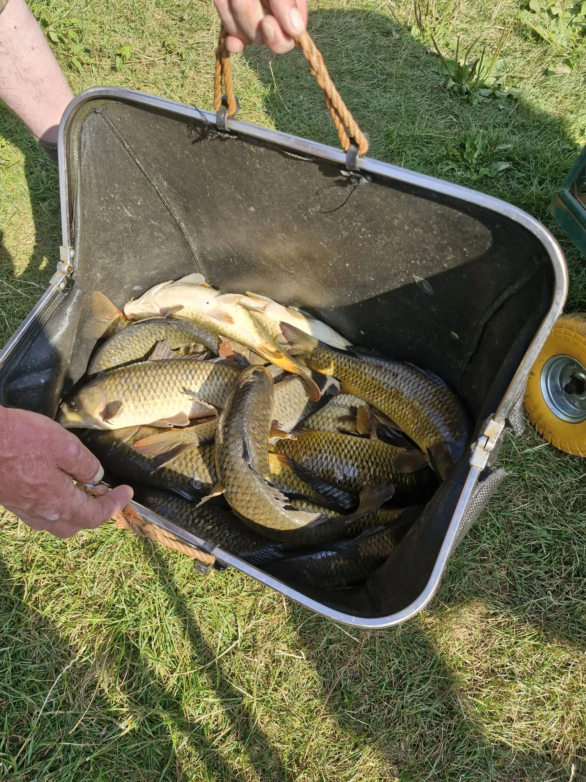 Wednesday open match Wednesday 29th July 2026 Canal Lake 