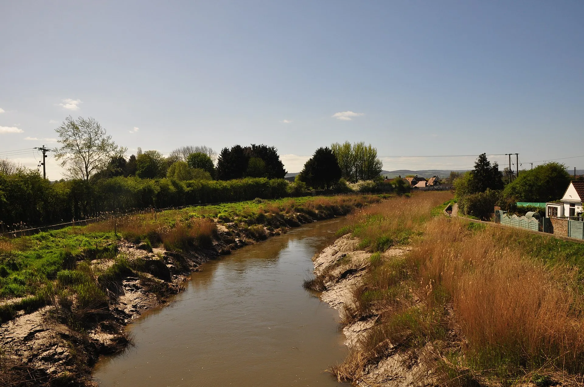 Coarse Fishing Near Bridgwater: Your Guide to The Sedges