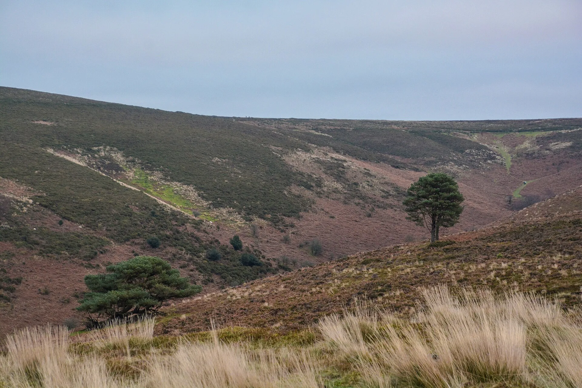 The Quantock Hills